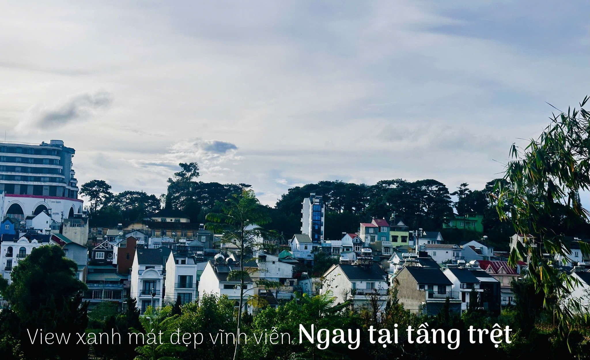 HẠ GIÁ GẤP BÁN NHÀ ĐẤT RỘNG ĐƯỜNG NGUYỄN DU, P9, ĐÀ LẠT 1000m2 - Ảnh 2
